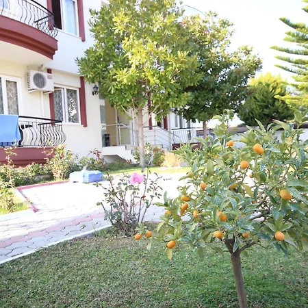 Minta 4*
