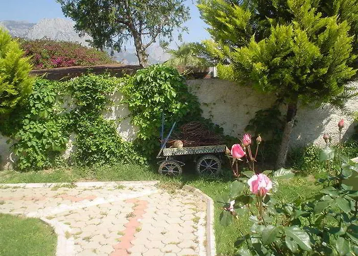 Minta 4*